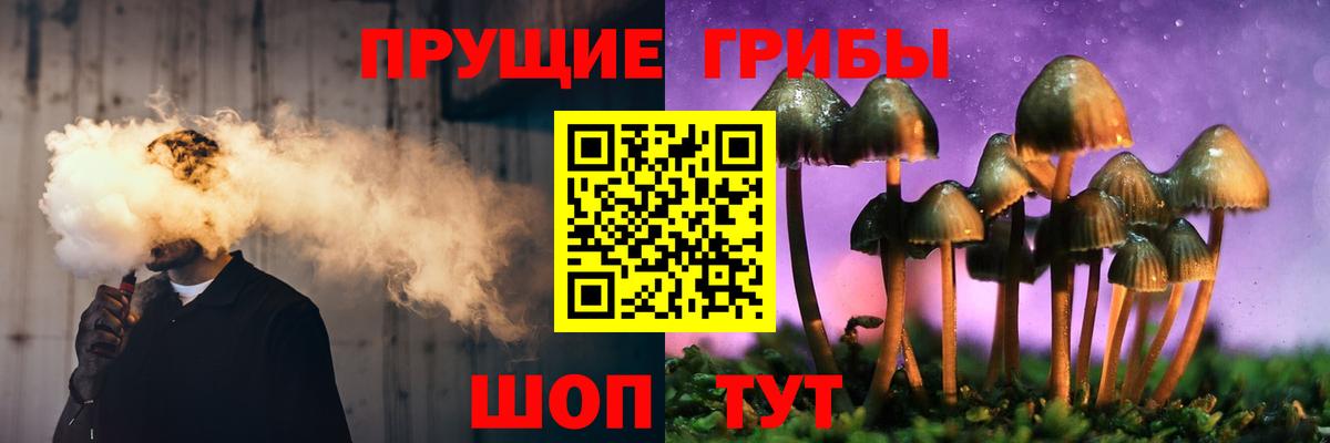 Псилоцибиновые грибы MAGIC MUSHROOMS  Галлюциногенные грибы ЛСД  Вход с VPN  Новотроицк 